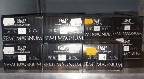 Cartuccia BASCHIERI & PELLAGRI Cal. 20 semimagnum -32 grammi