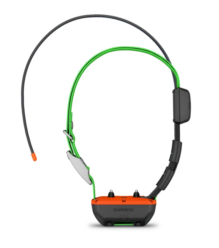 GARMIN Collare TT25K - immagine 3