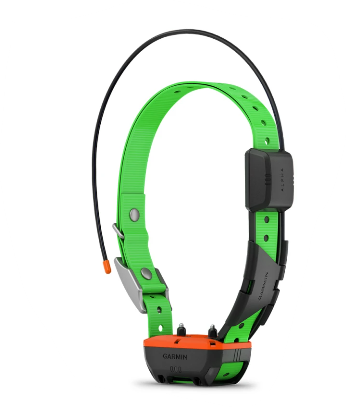 GARMIN Collare TT25K - immagine 2