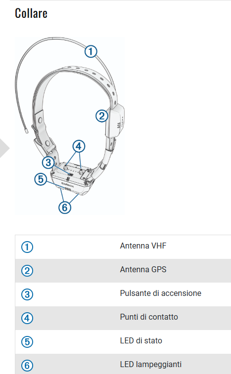 Garmin - Collare TT25K
